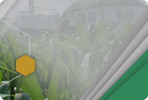 Welcome image materials